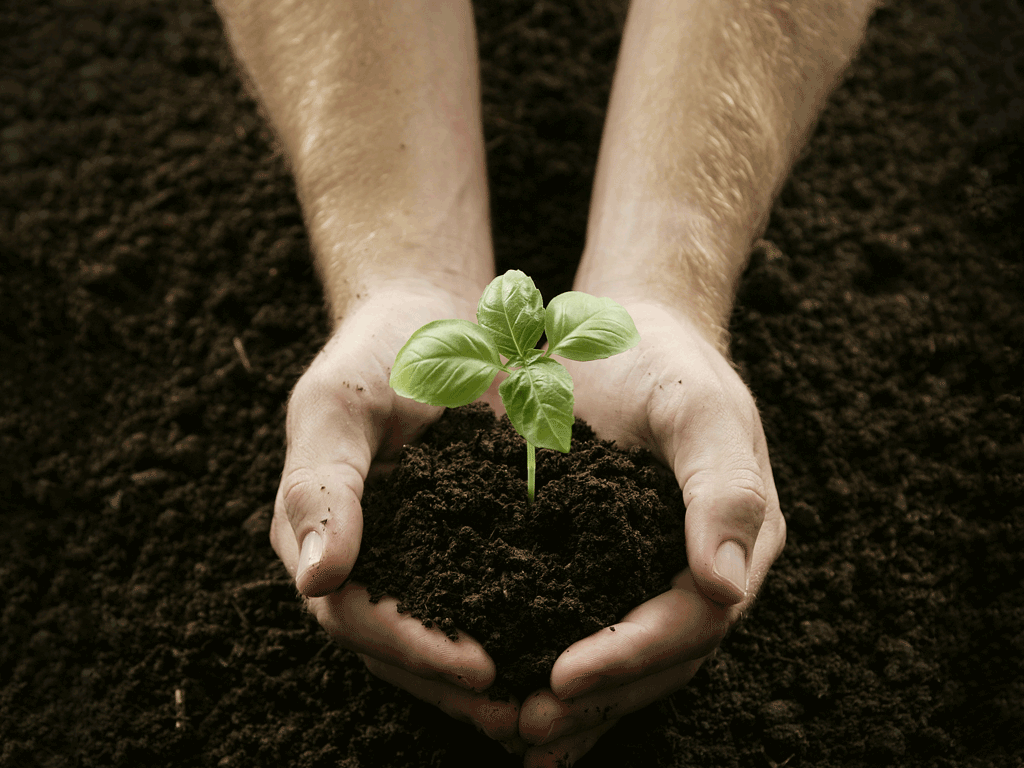 Velociterra Gives Back; image of hands holding dirt and a plant (Carbon 180)